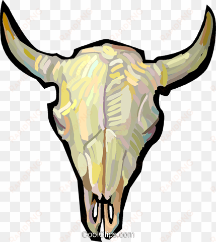 Bull Skull - Cranio De Boi Png transparent png image