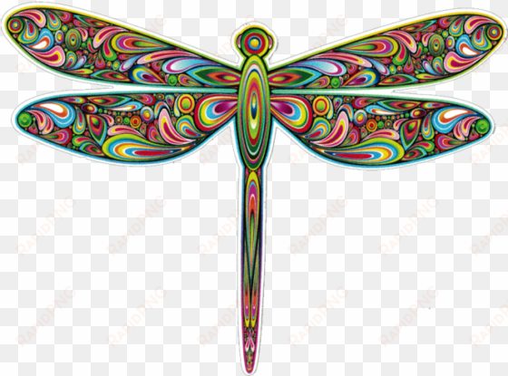 bumper sticker / decal - psychedelic dragonfly