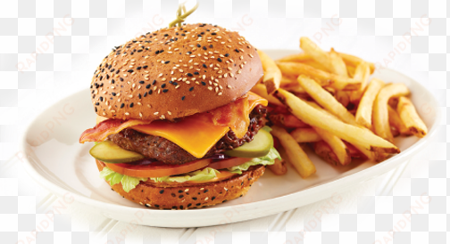 burger and french fries png - french fries