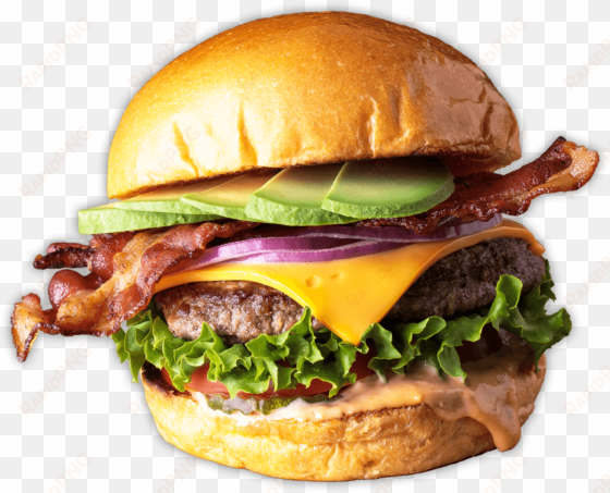 burger - chicken club sandwich the habit