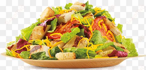 burger king garden salad