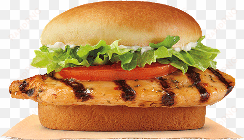 burger king grilled chicken sandwich