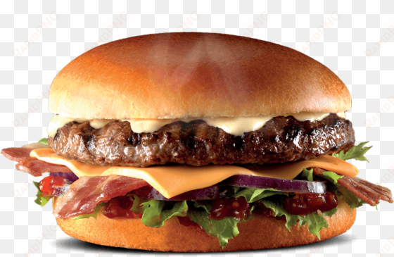 burger png pic - rustlers flame grilled gourmet classic burger 216g