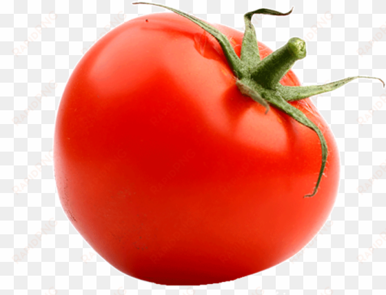 but one thing all tomatoes have in common - tomato