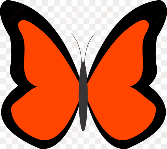 butterflies clipart exercise - imagens de borboletas em desenho