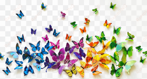 butterflies png background image - transparent background butterflies png