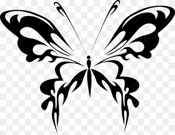 butterfly black and white png - black and white butterfly pdf