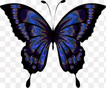 butterfly blue insect drawing purple - beautiful butterfly images clip art