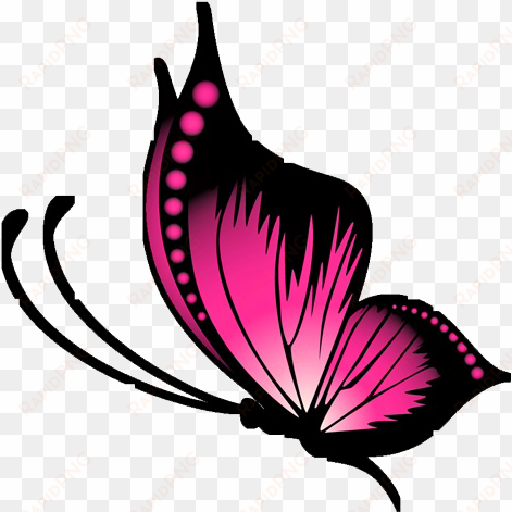 butterfly - butterfly tattoo designs png