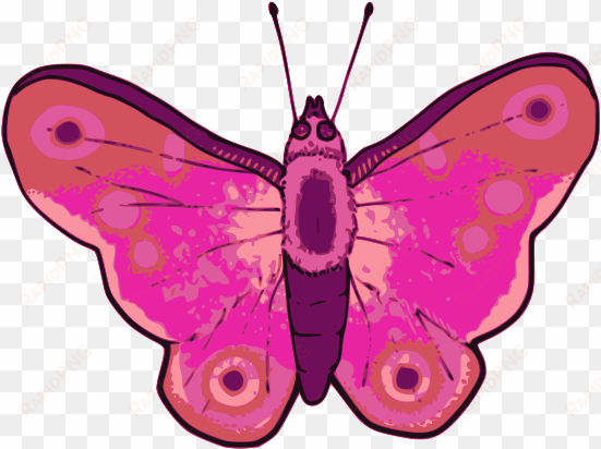 butterfly - clip art