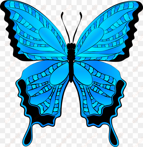 butterfly clip art bedroom designs dragonflies and - blue butterfly clipart