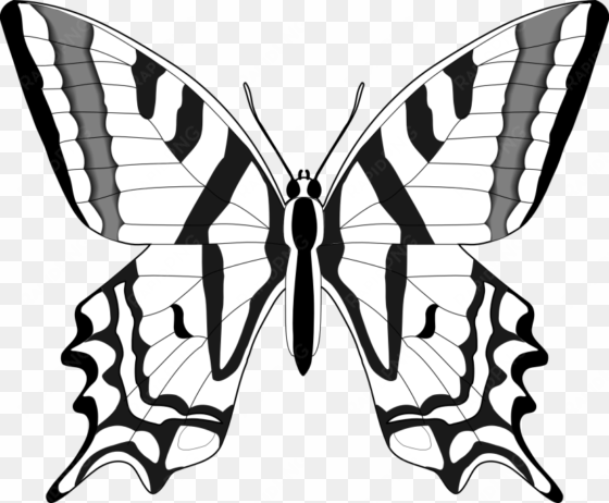 butterfly clipart - clipart butterfly images black and white
