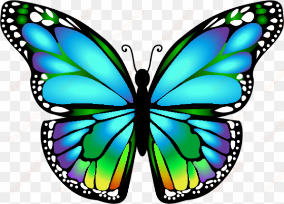 butterfly mariposa ms - butterfly clip art