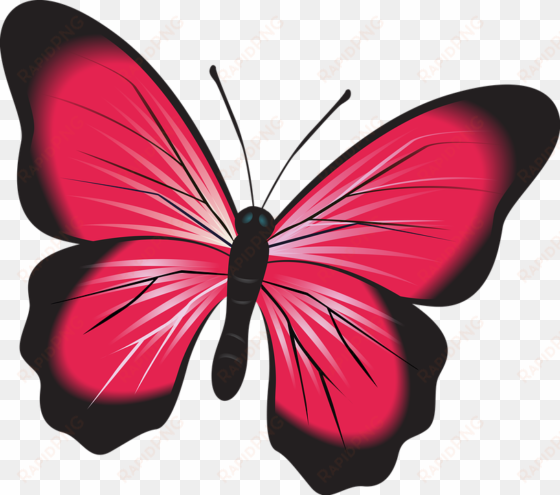 butterfly, pink, clip art, insect, nature, natural, - gambar kupu kupu warna merah