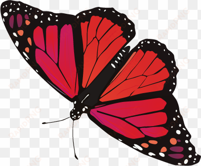 butterfly png image - red butterfly transparent background