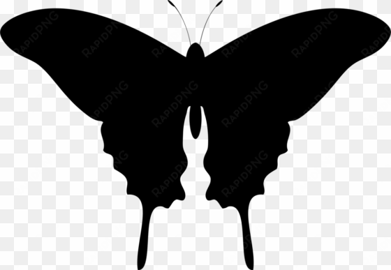 Butterfly Silhouette Drawing Lepidoptera - Don't Date A Psycho transparent png image