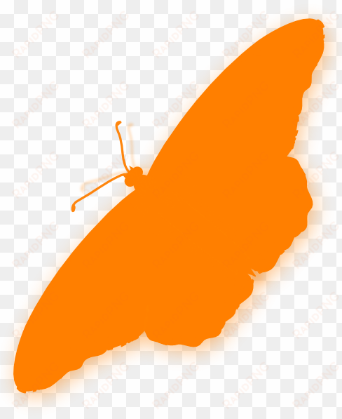 butterfly silhouette orange