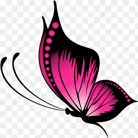 butterfly tattoo designs ping png image - butterfly tattoo design png