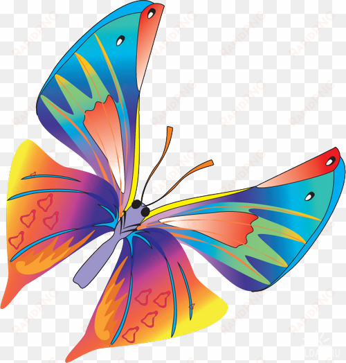 butterfly vector - butterfly vector png