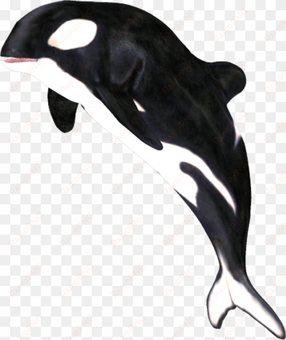 by clipartcotttage on deviantart - whale png