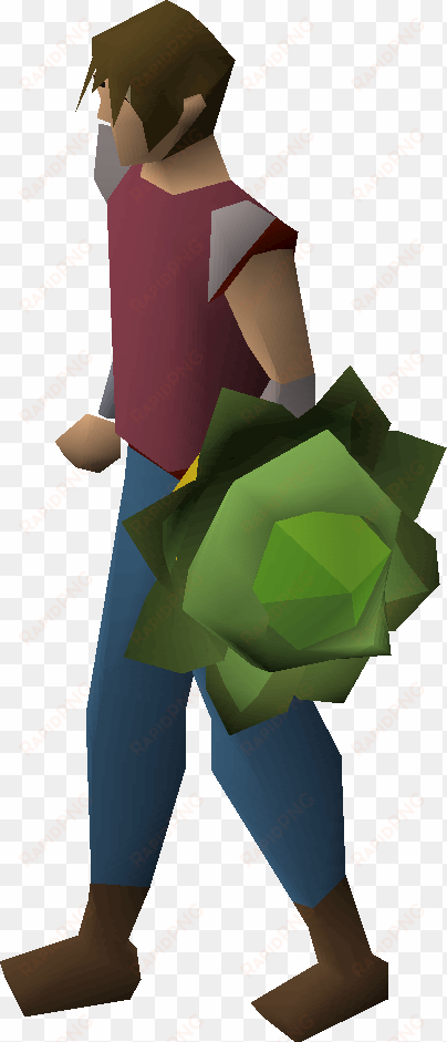 cabbage round shield equipped - shield