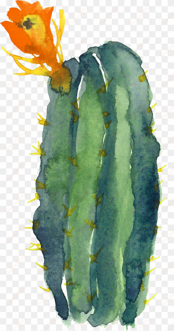 cactaceae modern watercolor - 'free totebags by morado designs - 'free hugs' cactus