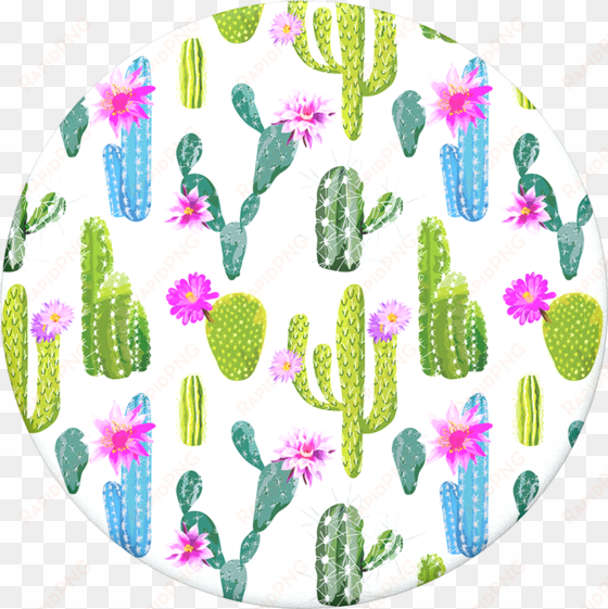 cacti - cactus popsocket