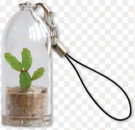 cactus keyrings eco-friendly sustainable promo products - feel green plantochi - spike