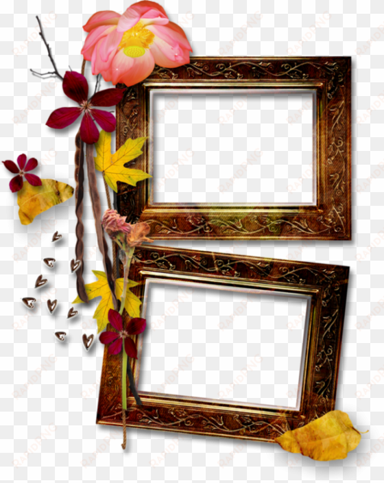 Cadre,frame,tube,png - Floral Design transparent png image