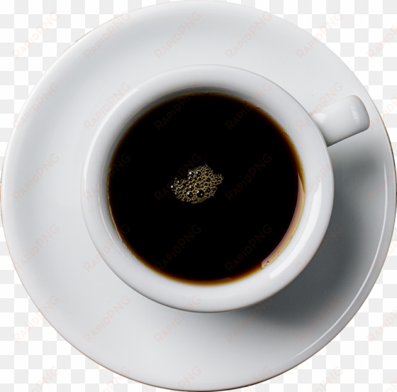 café vilela - dandelion coffee
