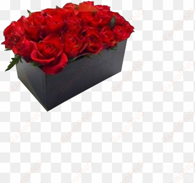 caja de rosas - garden roses