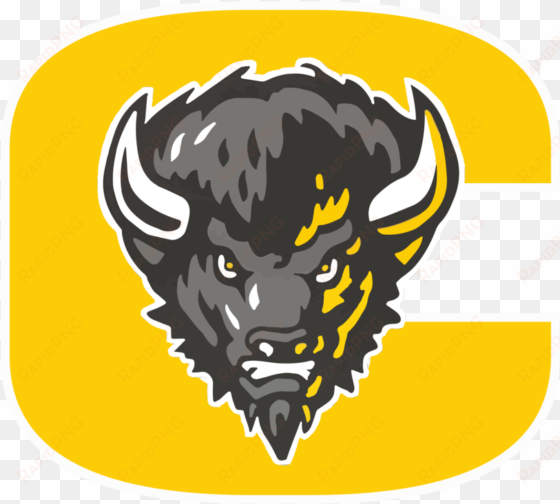 caliche basketball logo