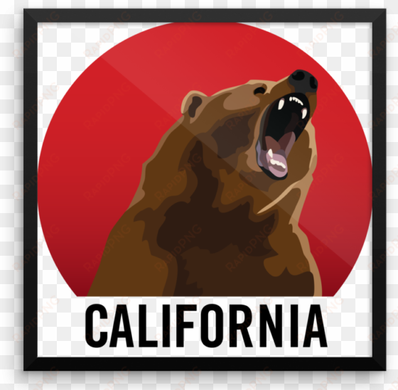 california bear postcard