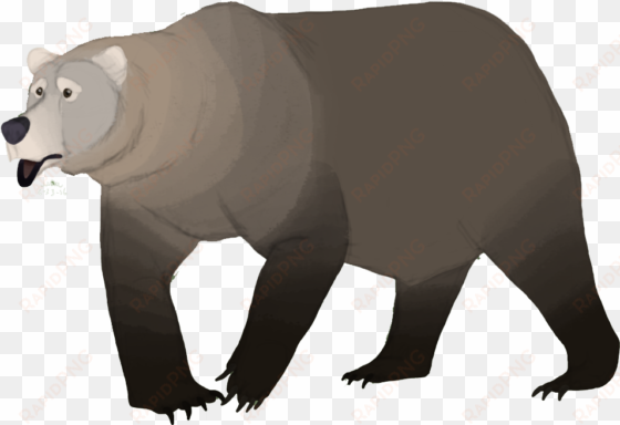 california grizzly bear - grizzly bear