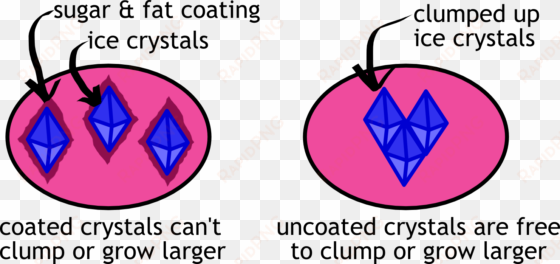 calorie-rich protective coatings of sugar and fat molecules - ice crystals ice cream