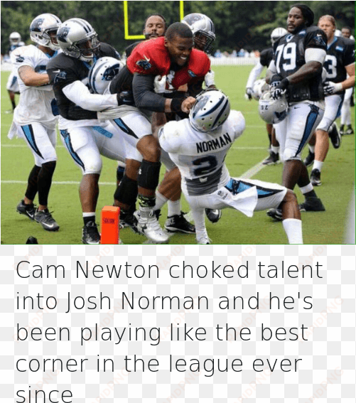 cam newton, carolina panthers, and football - cam newton josh norman fight