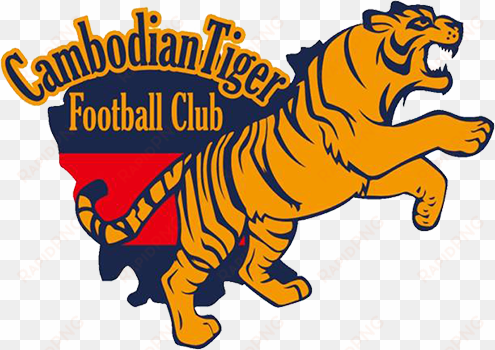 cambodian tiger fc football team profile, result, fixture, - angkor tiger fc