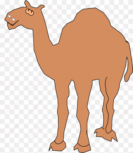 camel clipart big animal - clipart of camel