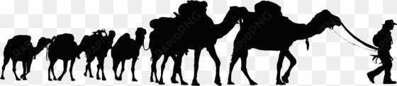 camel clipart walking - camel png