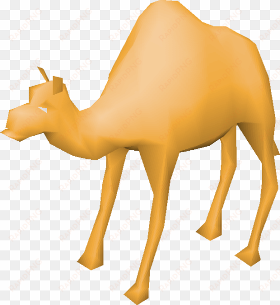 camel - osrs camel
