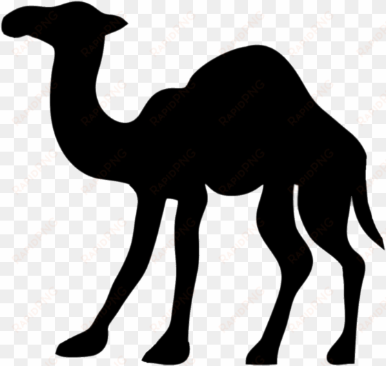 camel png - camel silhouette transparent background