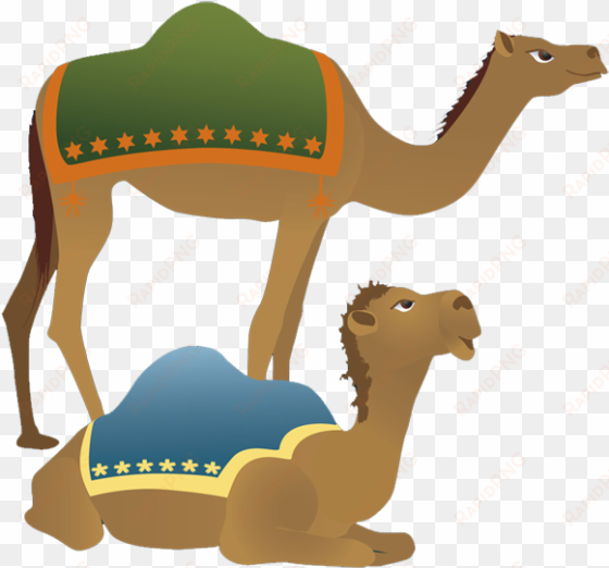 camel png clipart - camel clipart