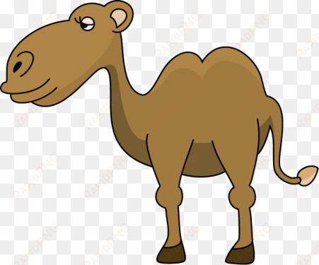 camel png clipart - camel clipart panda