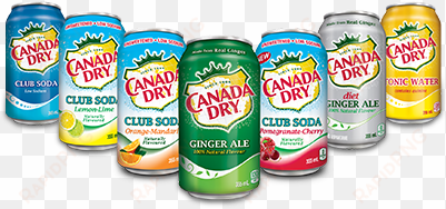 canada dry group shot - canada dry brand drinks