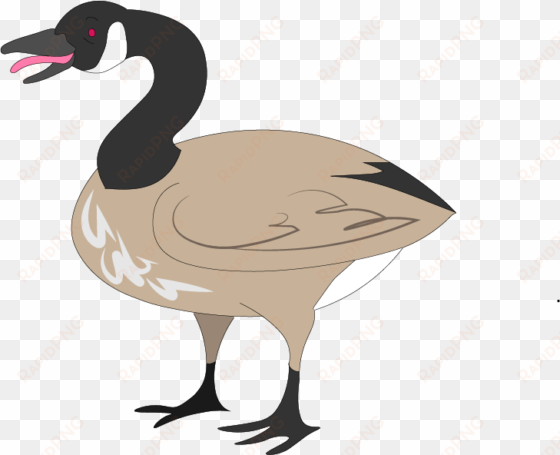 canada goose illustrated for a north by northwestern