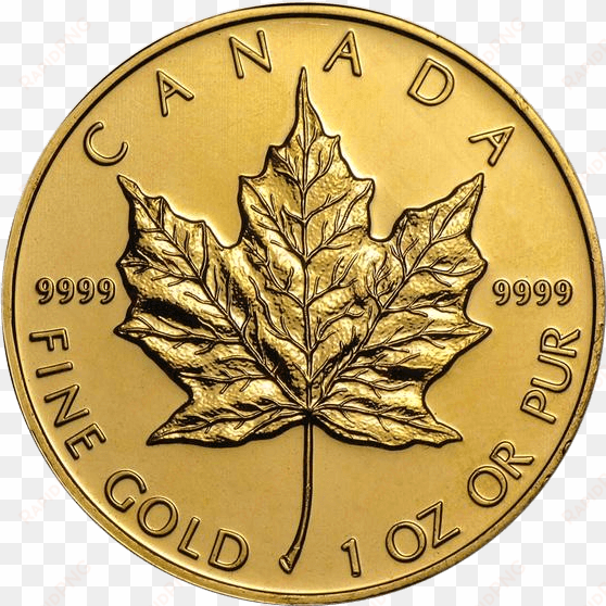 canadian maple leaf - gold maple leaf coin