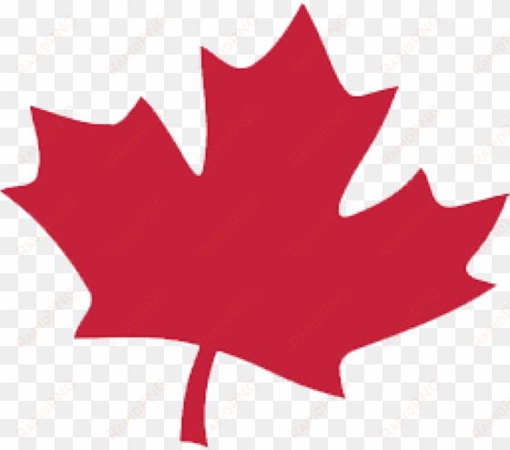 canadian maple leaf icon