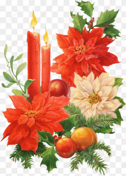 candles and poinsettias - christmas candle vintage png