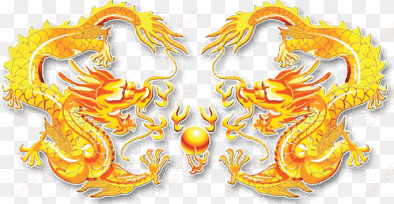 canton dragon is a family-owned restaurant in prescott, - chinese golden dragon png