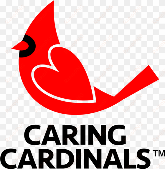 caring cardinals - let's go arizona cardinals